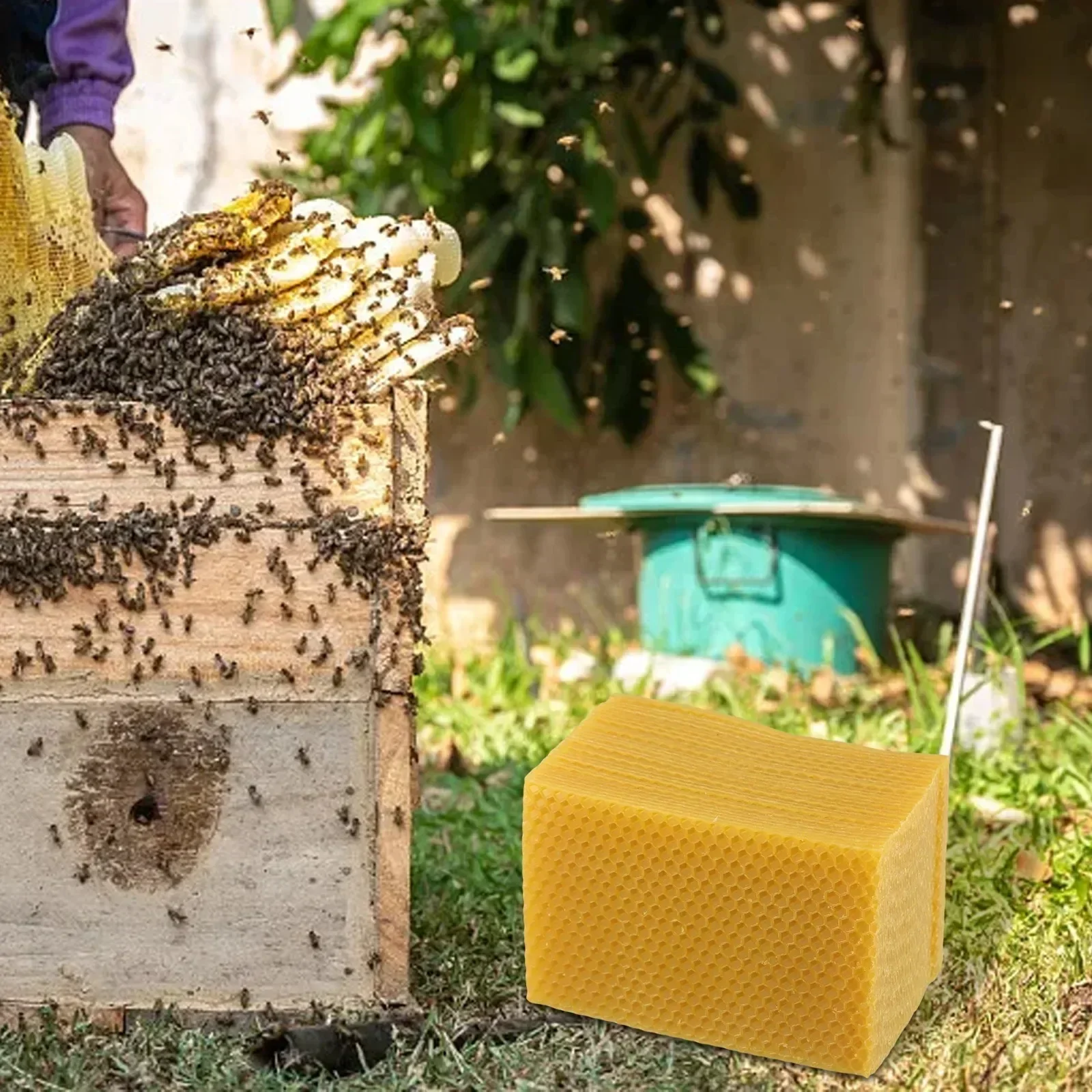 Beehive อุปกรณ์ Beehive Founda - Beeswax Sheet Roll บทวิจารณ์และราคา
