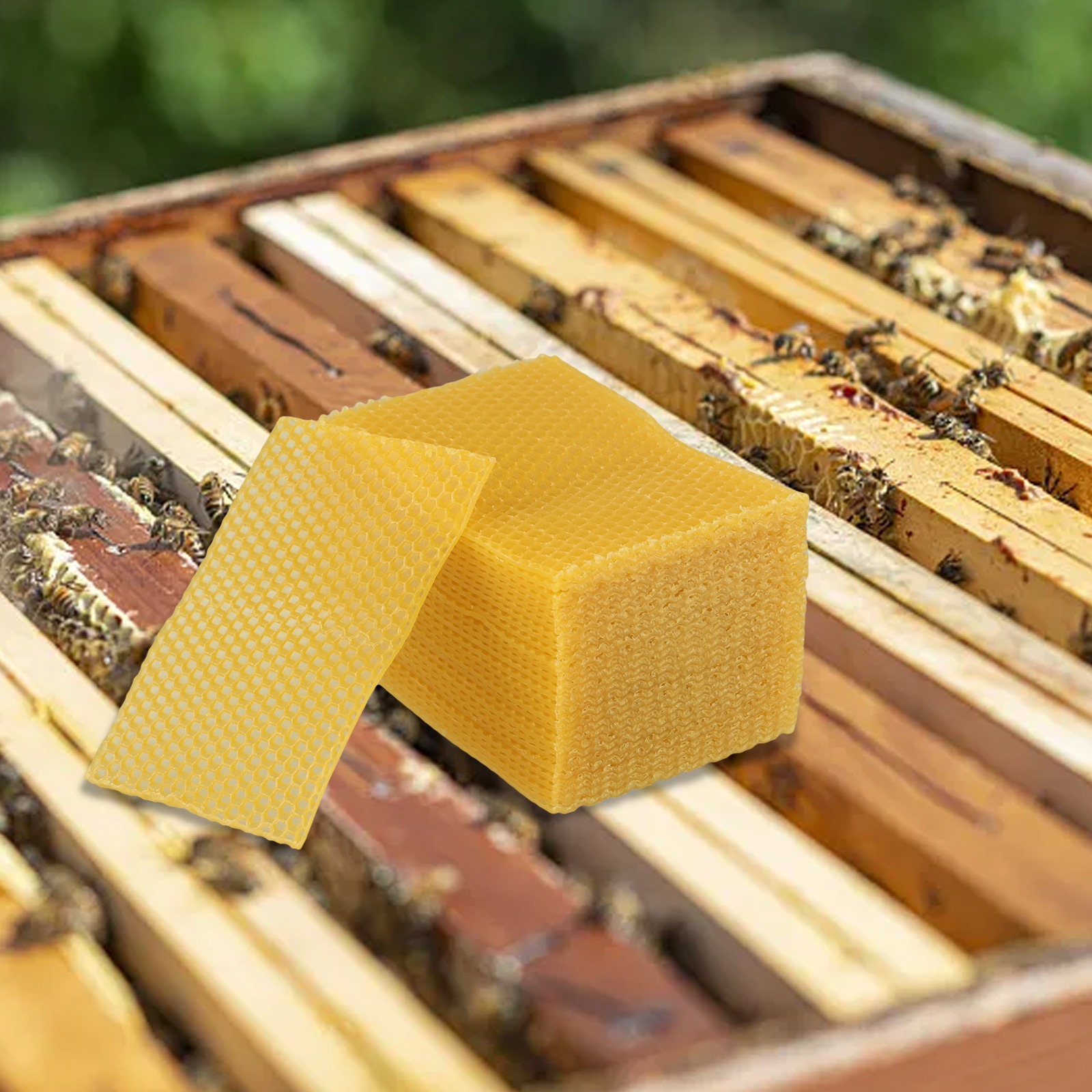 แผ่นรังผึ้งขนาด 5.24 x 3.54 นิ - Beeswax Sheet Roll บทวิจารณ์และราคา